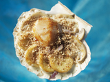 Recette : Coquilles Saint Jacques aux quenelles et champignons